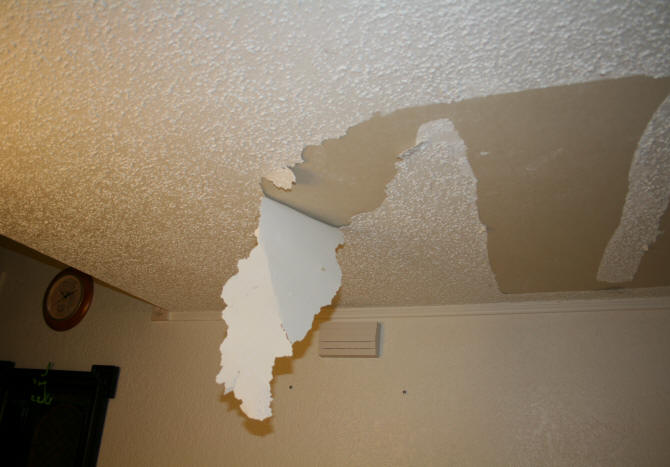 Laurel's Adventures in Home Repair - Ceiling Tiles